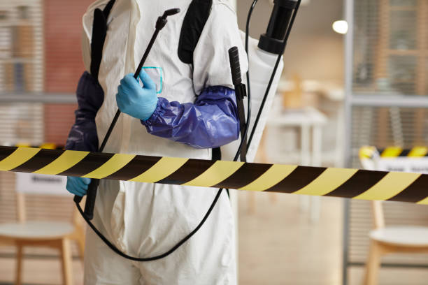 Professional Sewage Cleanup technician working in Amherst, OH